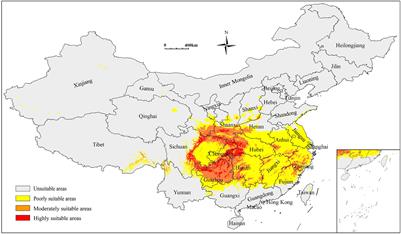 Environmental factors influencing potential distribution of Schisandra sphenanthera and its accumulation of medicinal components